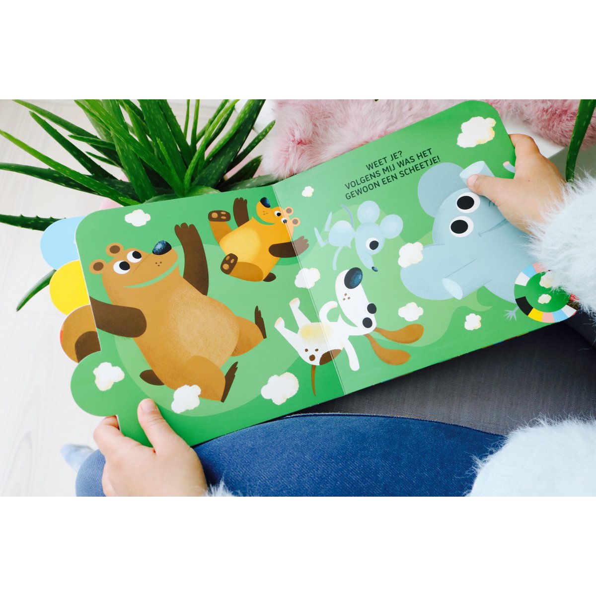 Imagebooks Wie liet daar een scheetje?
