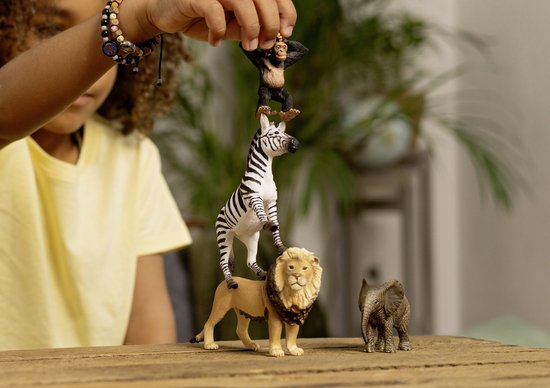 Schleich Wild life Afrika starters set